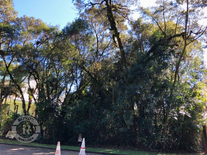 2 - Terreno Canela em canelaReserva da Serra