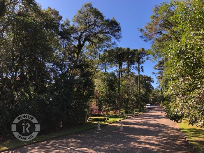 1 - Terreno Canela em canelaReserva da Serra