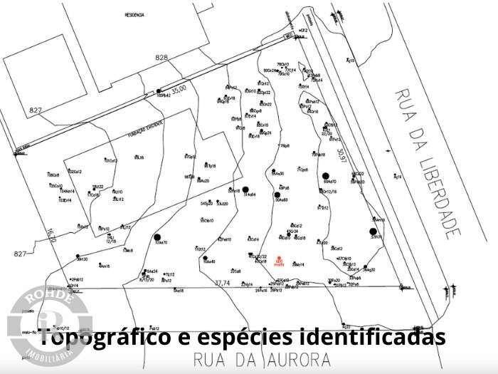 Foto 5 - Terreno No Laje De Pedra Em Canela em Canela, bairro Laje de Pedra