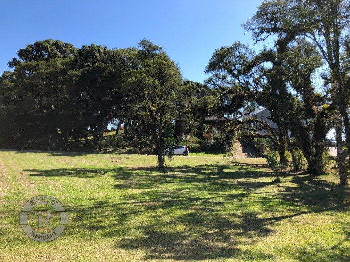 3 - Terreno Em Canela em canelaAltos Pinheiros