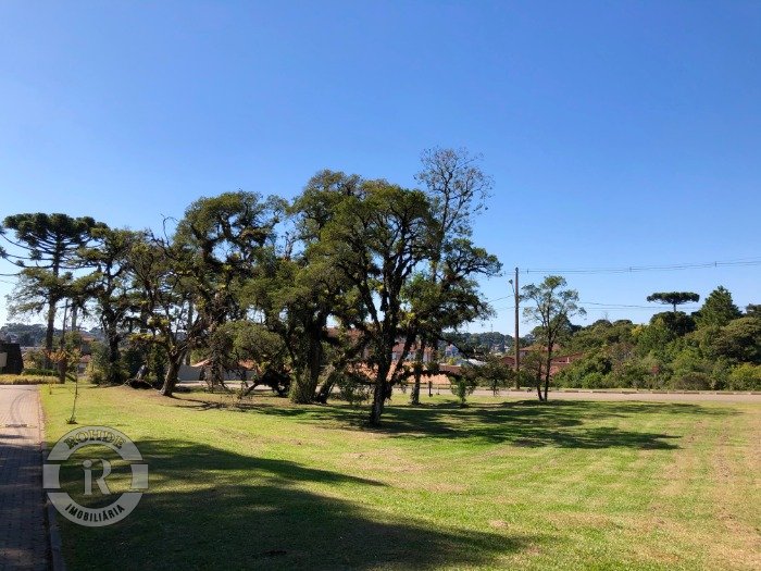 2 - Terreno Em Canela em canelaAltos Pinheiros