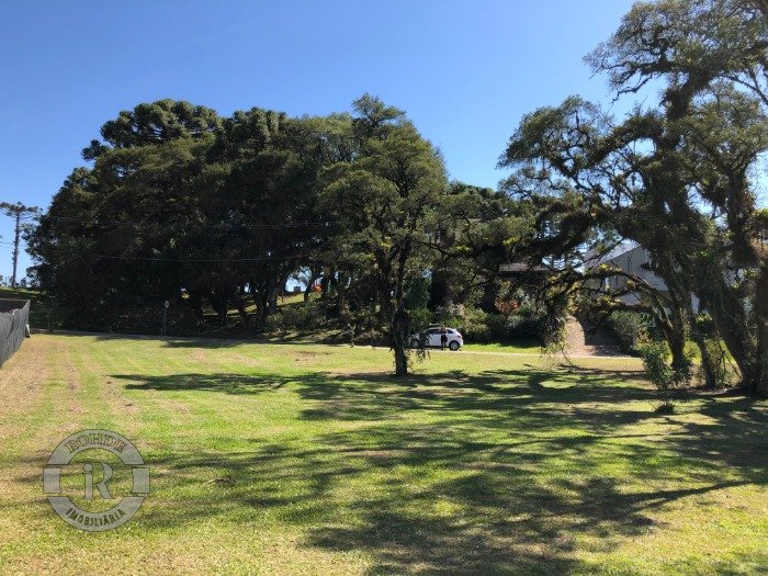 1 - Terreno Em Canela em canelaAltos Pinheiros