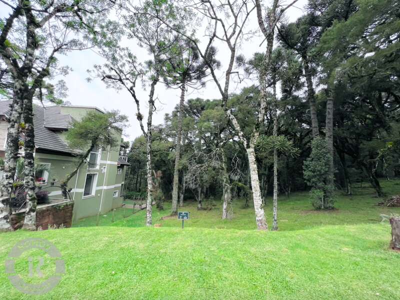 1 - Terreno Em Canela em canelaAltos Pinheiros