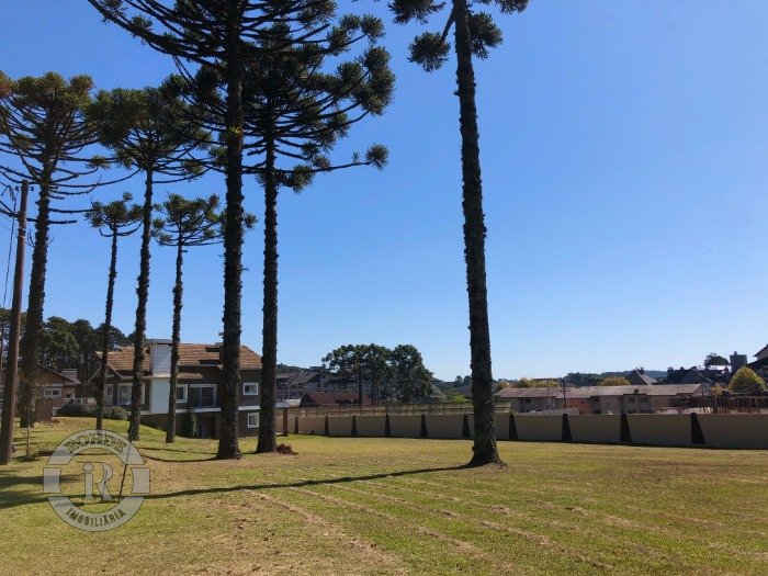 3 - Terreno Em Canela em canelaAltos Pinheiros