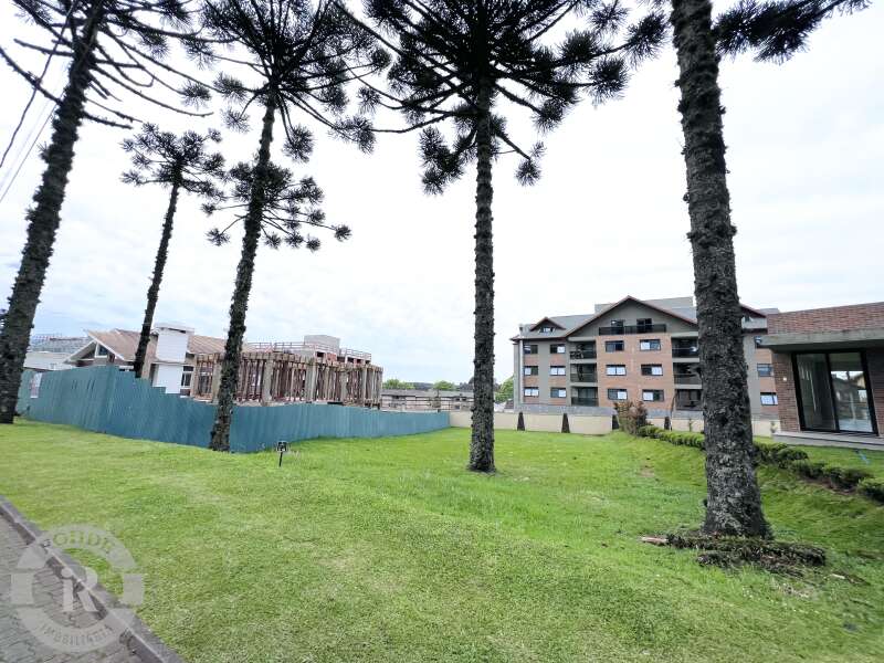 1 - Terreno Em Canela em canelaAltos Pinheiros