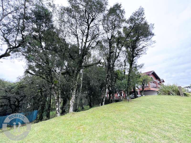 1 - Terreno Em Canela em canelaAltos Pinheiros