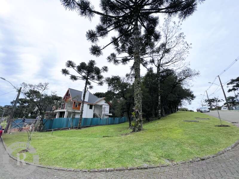 2 - Terreno Em Canela em canelaAltos Pinheiros