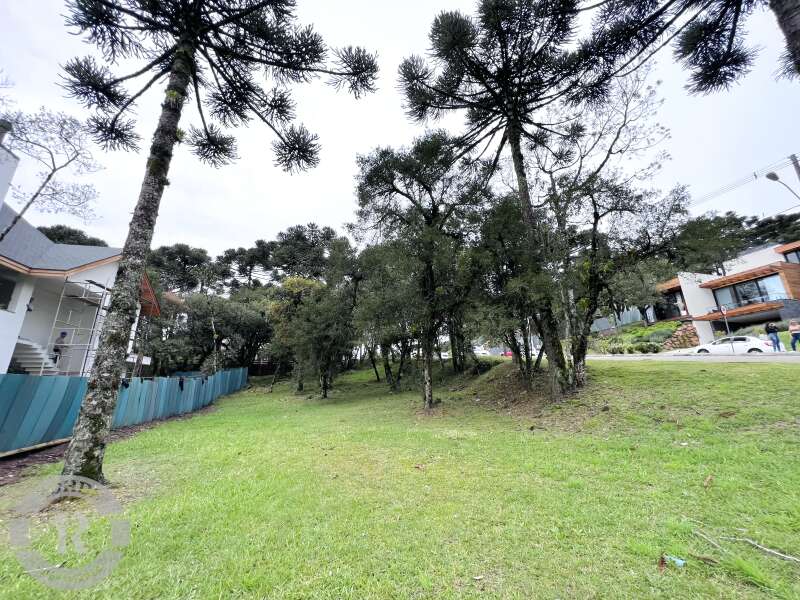 1 - Terreno Em Canela em canelaAltos Pinheiros
