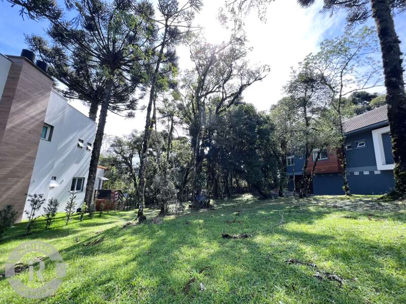 2 - Terreno Em Canela em canelaAltos Pinheiros