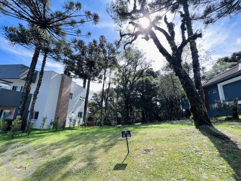 1 - Terreno Em Canela em canelaAltos Pinheiros