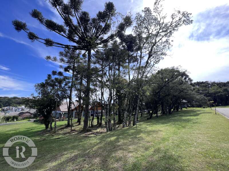 2 - Terreno Em Canela em canelaAltos Pinheiros