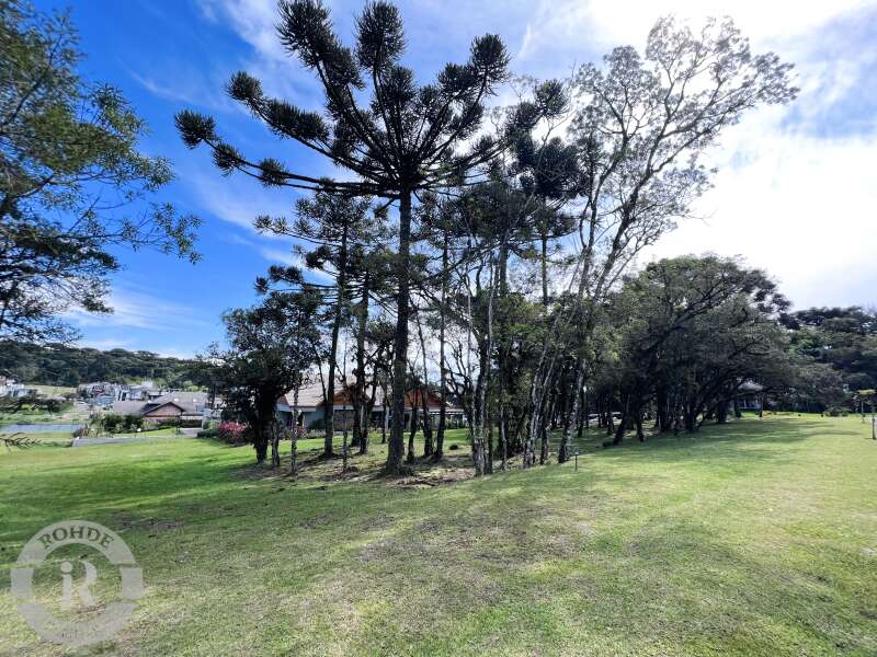 1 - Terreno Em Canela em canelaAltos Pinheiros