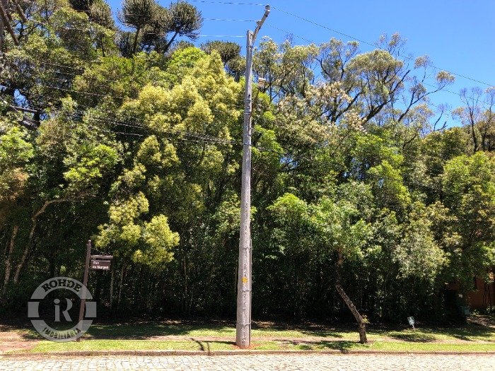 Foto 6 - Terreno No Laje De Pedra Em Canela em Canela, bairro Laje de Pedra