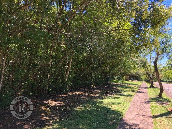 1 - Terreno No Laje De Pedra Em Canela em canelaLaje de Pedra
