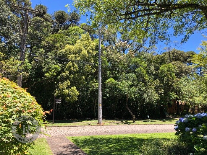 Foto 5 - Terreno No Laje De Pedra Em Canela em Canela, bairro Laje de Pedra