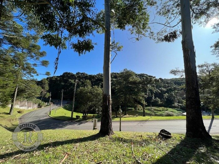Foto 5 - Terreno Em Gramado em Gramado, bairro O Bosque