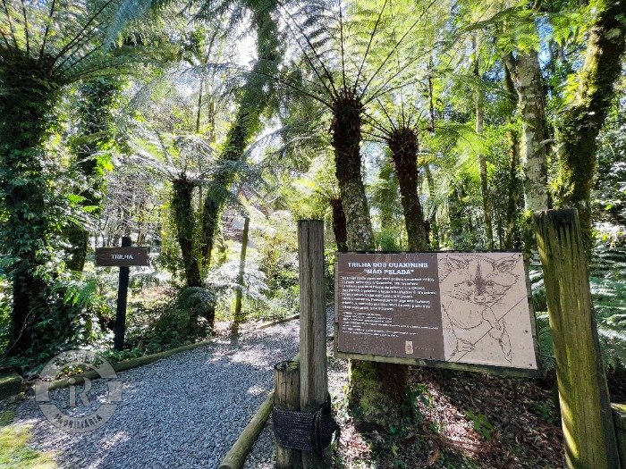 Foto 24 - Casa De 3 Dormitórios Em Gramado em Gramado, bairro O Bosque