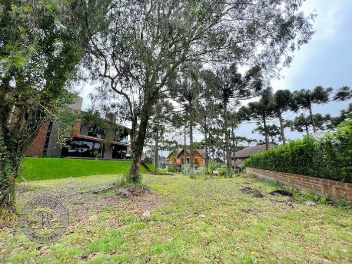 2 - Terreno Em Gramado em gramadoAspen Mountain