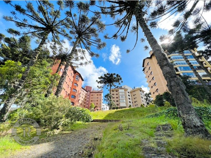 2 - Terreno Em Canela em canelaQuinta da Serra