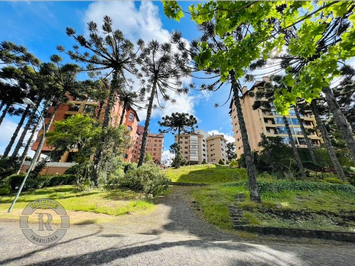 3 - Terreno Em Canela em canelaQuinta da Serra