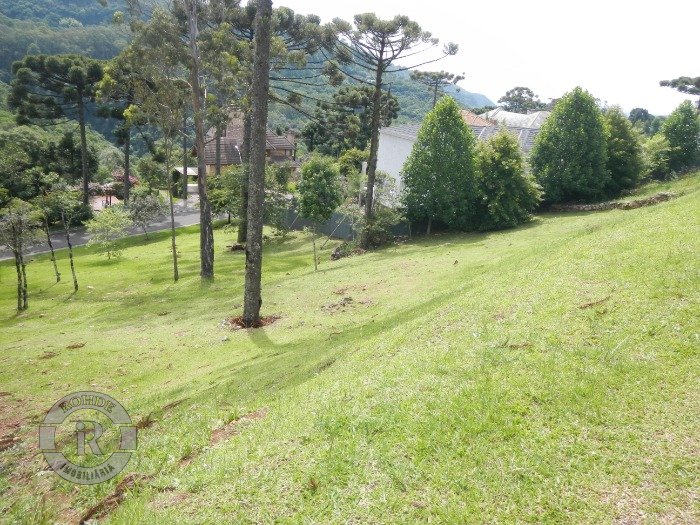 3 - Terreno Em Gramado em gramadoAlphaville