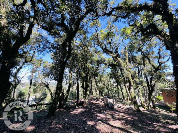 4 - Terreno Em Canela em canelaQuinta da Serra