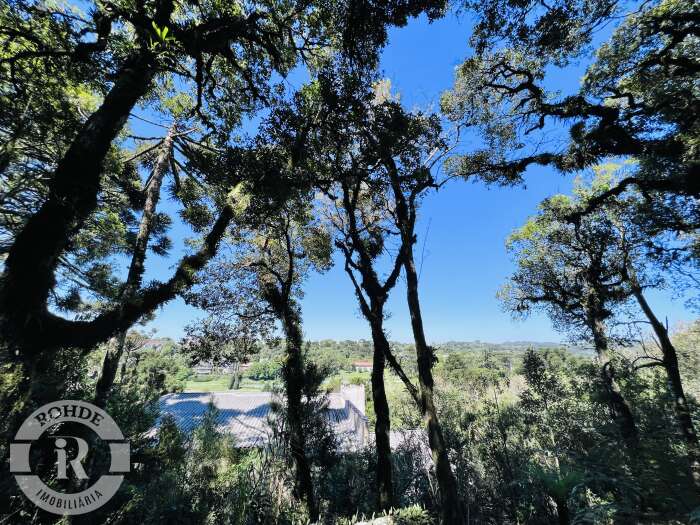 2 - Terreno Em Canela em canelaQuinta da Serra