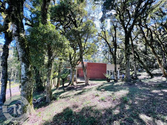Foto 7 - Terreno Em Canela em Canela, bairro Quinta da Serra