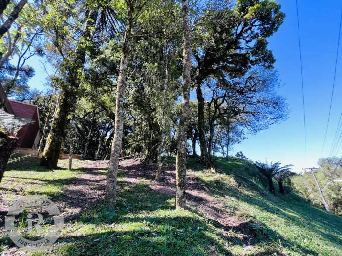 Foto 8 - Terreno Em Canela em Canela, bairro Quinta da Serra