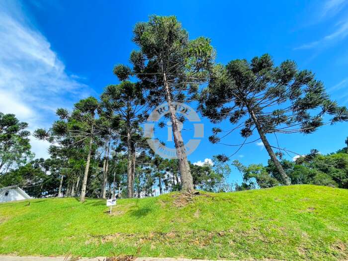 Foto 7 - Terreno Em Gramado em Gramado, bairro Laken