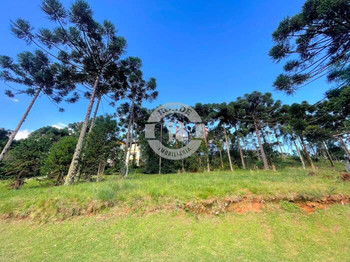 4 - Terreno Em Gramado em gramadoAspen Mountain