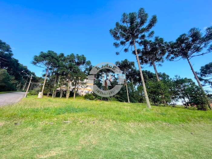 1 - Terreno Em Gramado em gramadoAspen Mountain