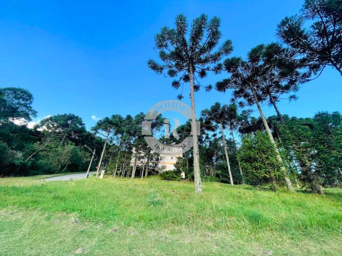 3 - Terreno Em Gramado em gramadoAspen Mountain