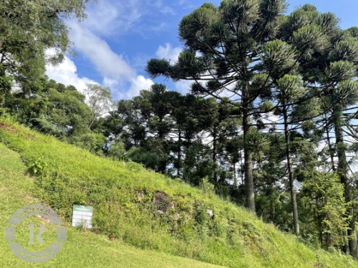 2 - Terreno Em Gramado em gramadoAspen Mountain