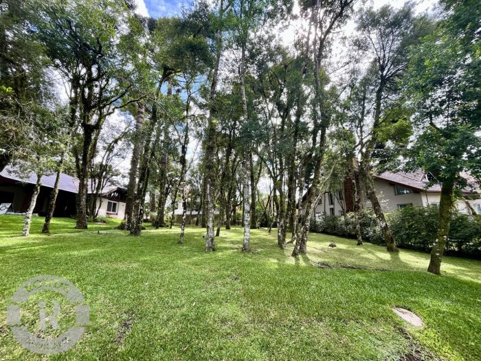 Foto 5 - Terreno No Laje De Pedra Em Canela em Canela, bairro Laje de Pedra
