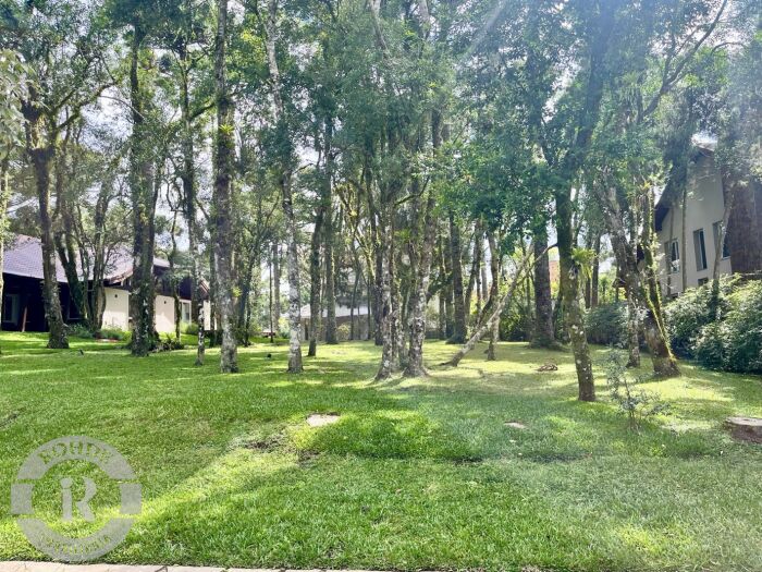 1 - Terreno No Laje De Pedra Em Canela em canelaLaje de Pedra