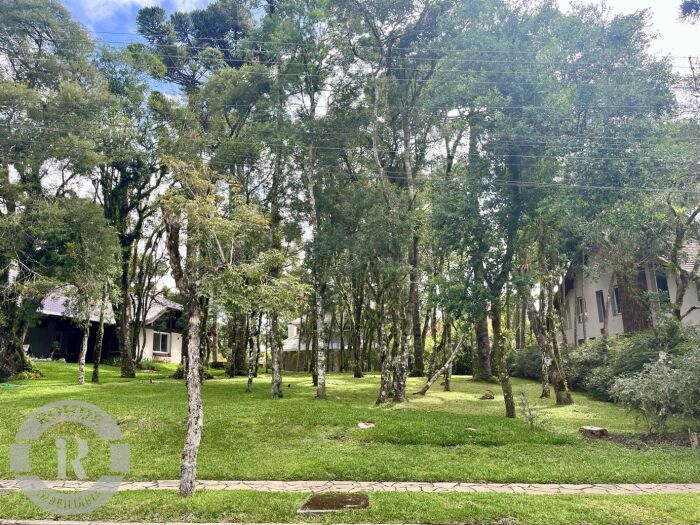 Foto 6 - Terreno No Laje De Pedra Em Canela em Canela, bairro Laje de Pedra