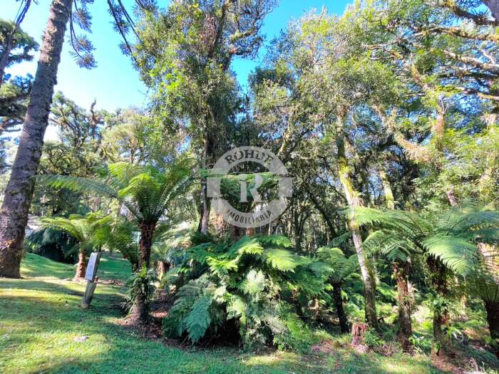2 - Terreno Em Gramado em gramadoO Bosque