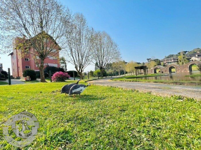Foto 6 - Terreno Em Canela em Canela, bairro Quinta da Serra