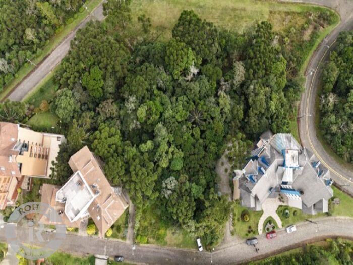 3 - Terreno Em Canela em canelaQuinta da Serra