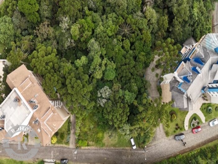 2 - Terreno Em Canela em canelaQuinta da Serra