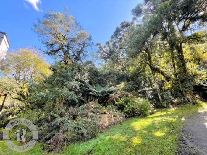 2 - Terreno Em Canela em canelaQuinta da Serra