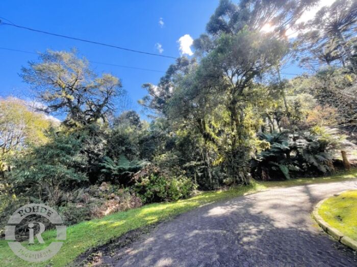 3 - Terreno Em Canela em canelaQuinta da Serra