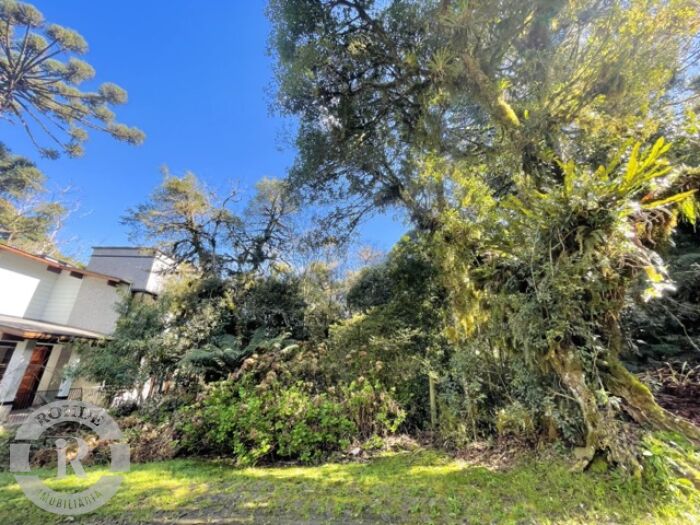 1 - Terreno Em Canela em canelaQuinta da Serra