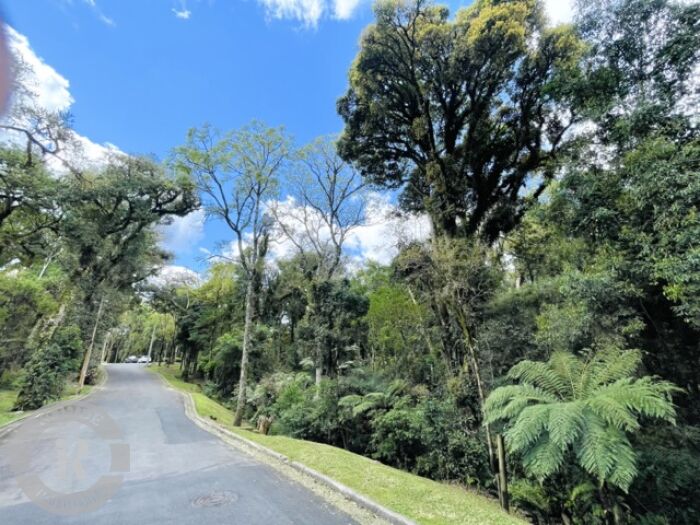 Foto 6 - Terreno Em Gramado em Gramado, bairro O Bosque