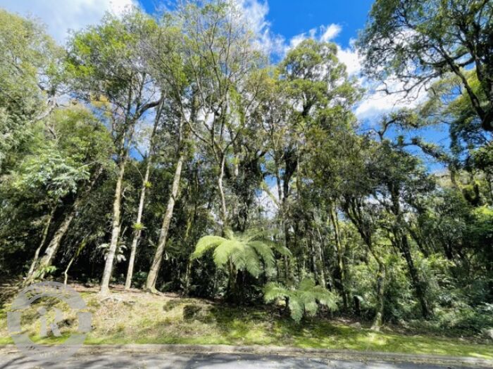 4 - Terreno Em Gramado em gramadoO Bosque