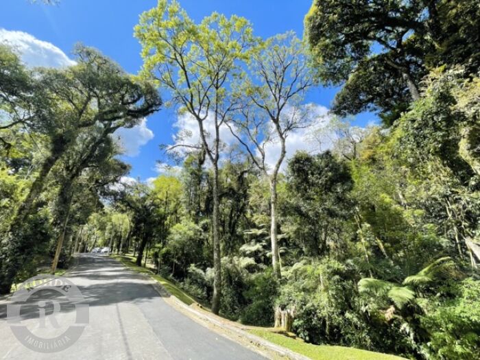 1 - Terreno Em Gramado em gramadoO Bosque