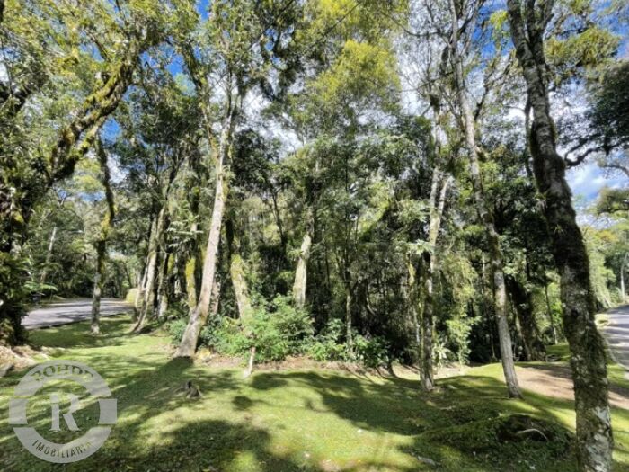3 - Terreno Em Gramado em gramadoO Bosque