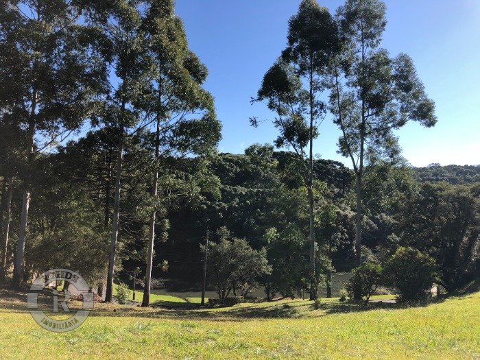 Foto 8 - Terreno Em Gramado em Gramado, bairro O Bosque