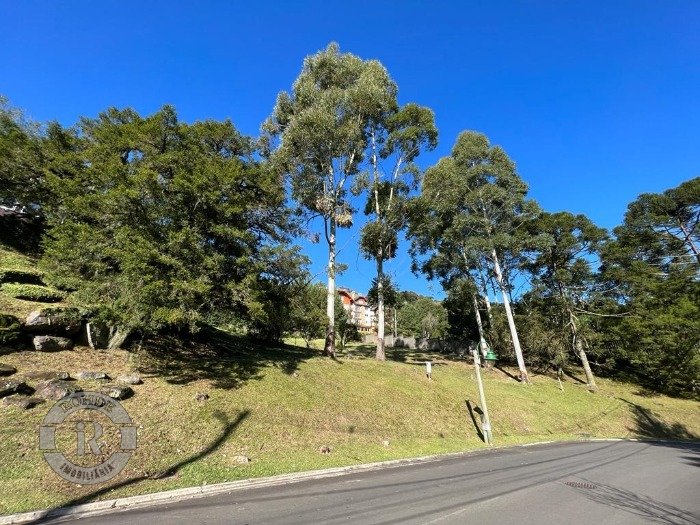 Foto 6 - Terreno Em Gramado em Gramado, bairro O Bosque